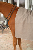 Bild in Galerie-Betrachter laden, WOOL BLANKET CASHMERE
