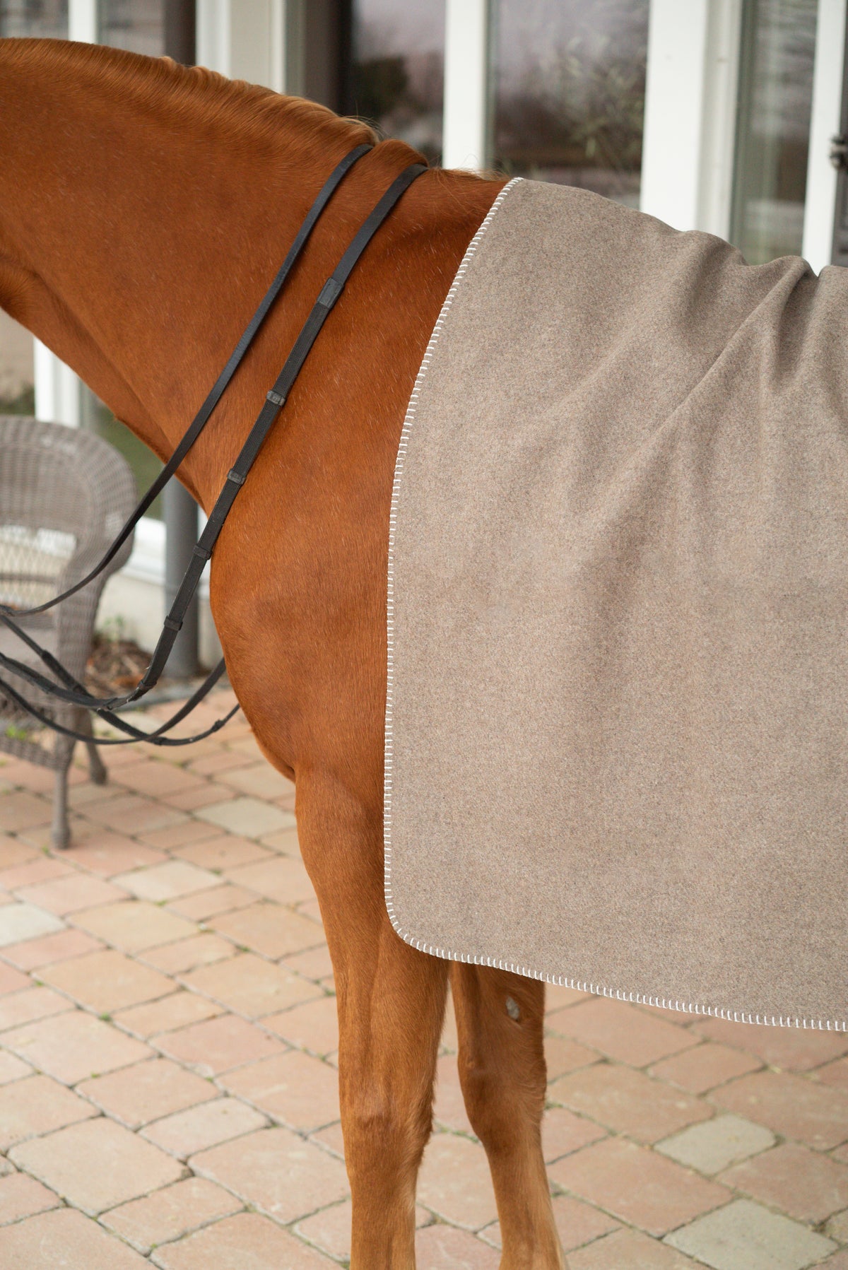 Blanket Tissavel